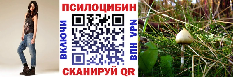 Галлюциногенные грибы мицелий  hydra ссылки  Кочубеевское 
