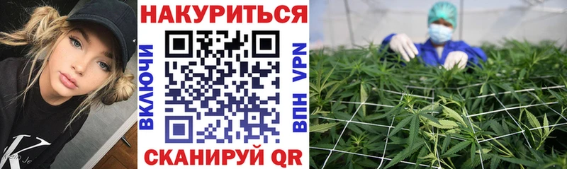 Конопля сатива  Кочубеевское 